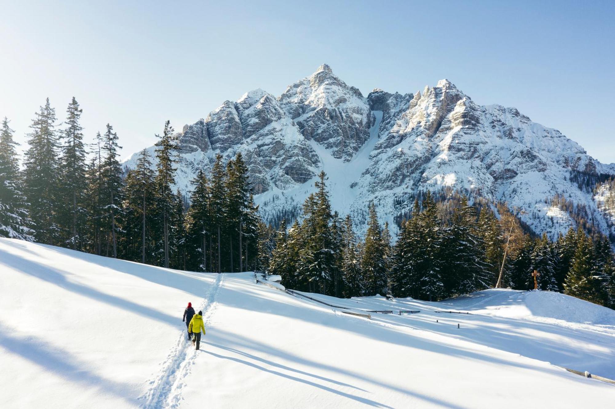 Stoanmandl Wohlfuehlappartements Neustift im Stubaital Exterior foto