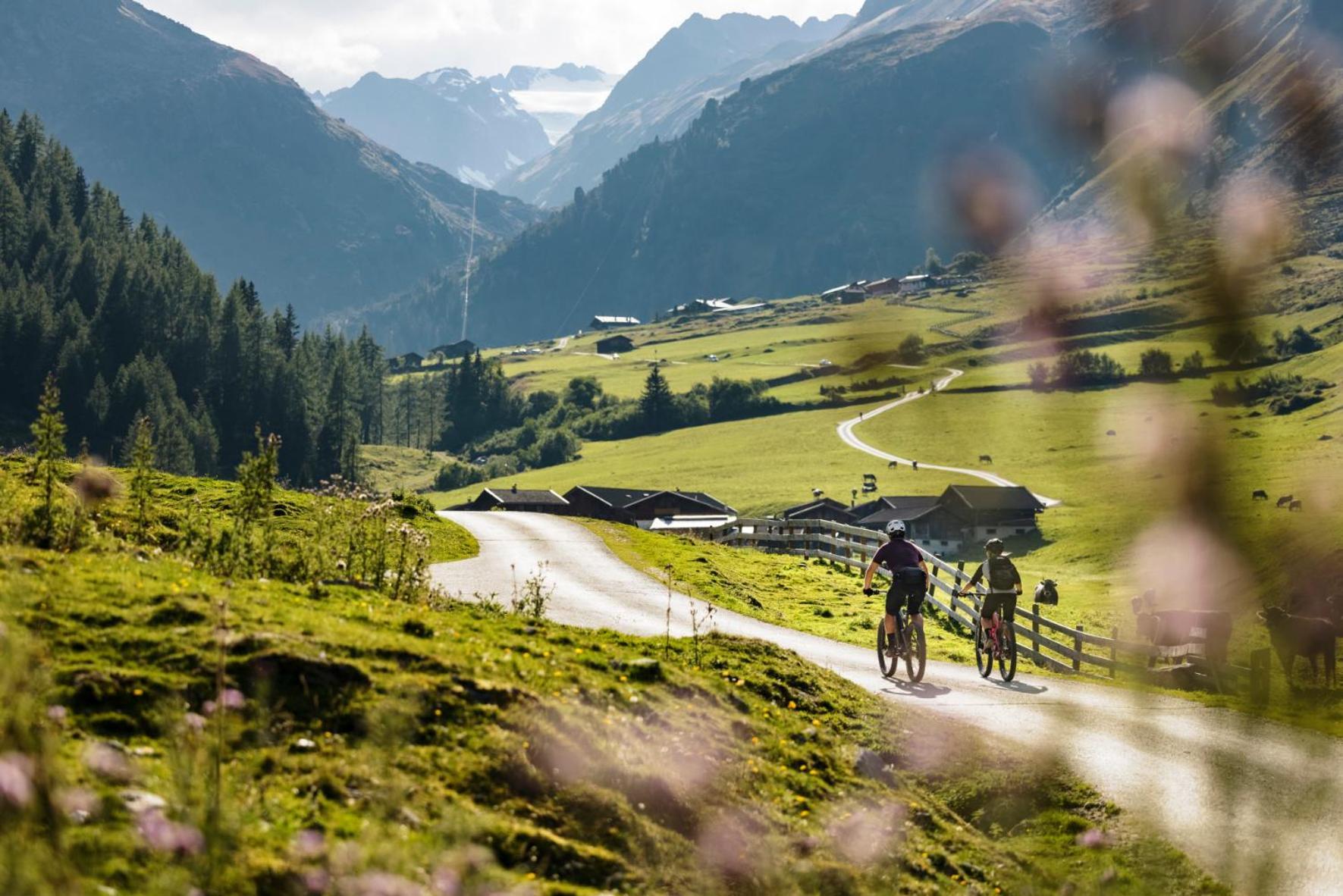 Stoanmandl Wohlfuehlappartements Neustift im Stubaital Exterior foto