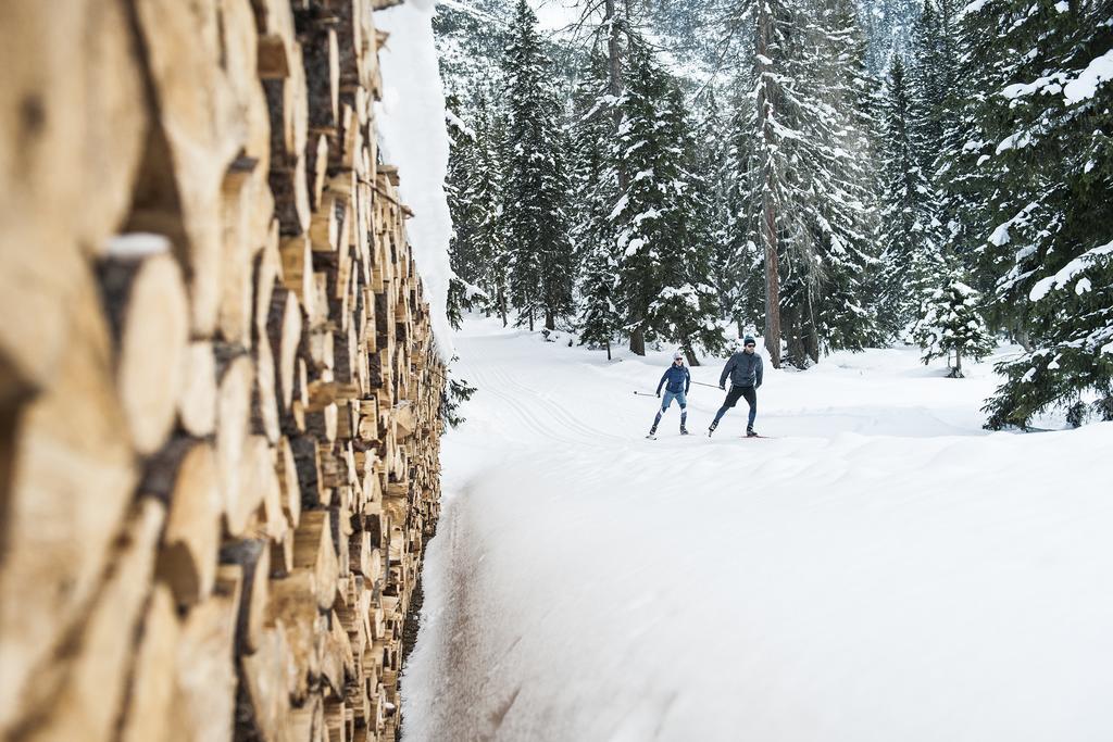 Stoanmandl Wohlfuehlappartements Neustift im Stubaital Exterior foto