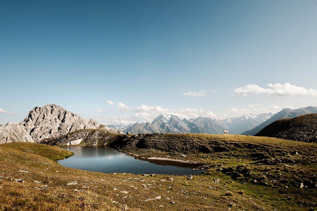 Stoanmandl Wohlfuehlappartements Neustift im Stubaital Exterior foto